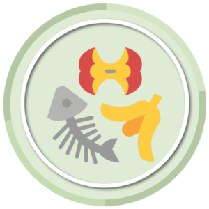 smaltimento rifiuti alimentari icona